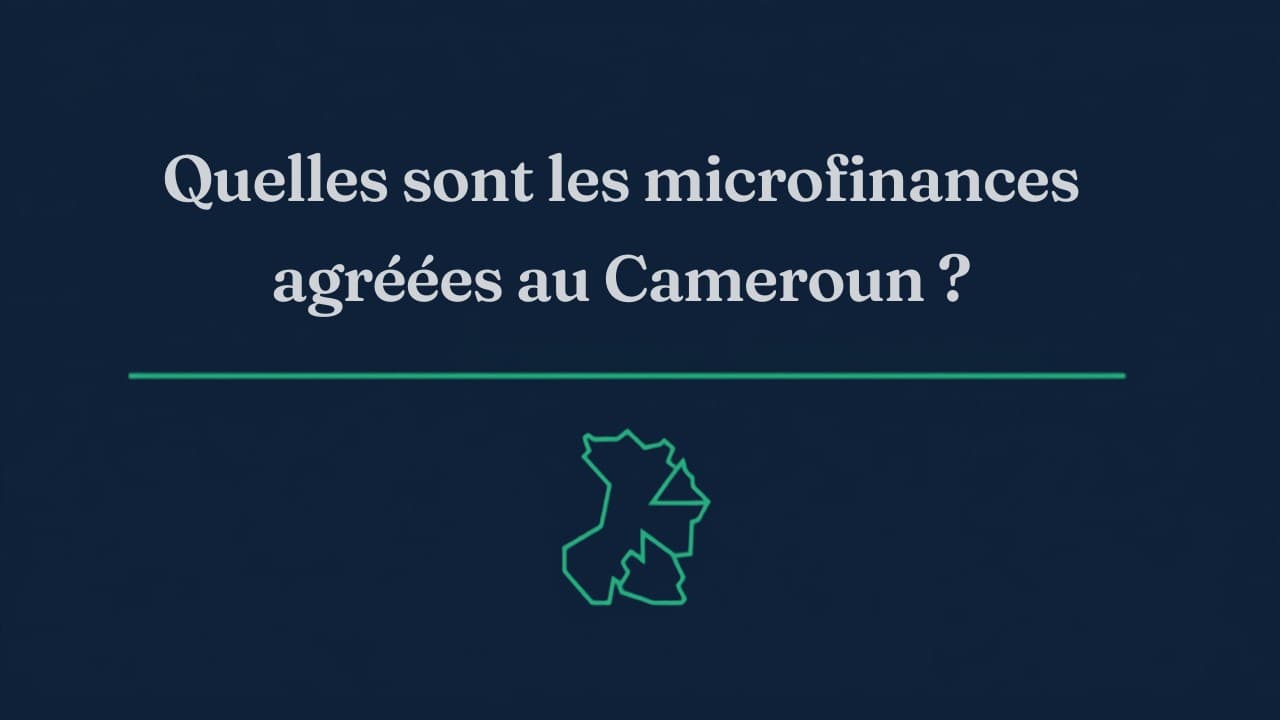 Quelles sont les microfinances agréées au Cameroun ?